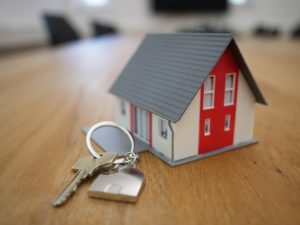 Professional Home Inspectection